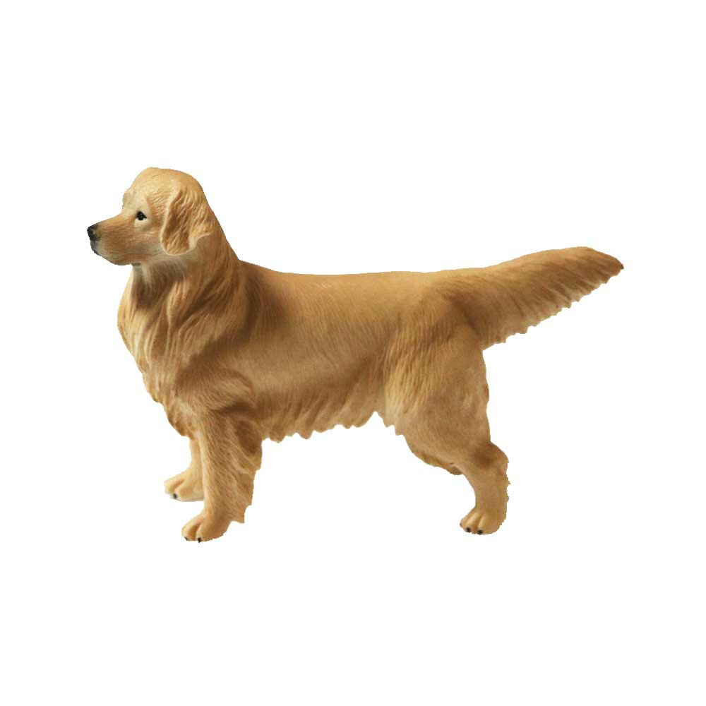 Rakuten - 犬フィギュア　ゴールデン・レトリバー　動物模型　動物フィギュア　犬模型
