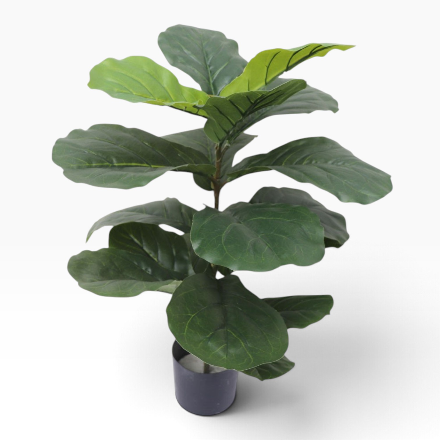 材質：ビニール・プラスチック・鉄 鉢の材質：鉄 商品サイズ：高さ約70cm　幅約50cm 鉢植え付属のフェイクグリーン。店舗の飾りつけやインテリアにおすすめ。 フェイクグリーンは手間がかからず、手軽に緑を楽しむことができるアイテムです！ アクセサリー、コスメ、雑貨、ハンドメイド作品などの商品撮影にも使用できます。店舗、カフェ、サロン、ショールーム、イベント会場などの装飾やディスプレイ用品としても活躍します。 植物の世話が苦手、虫が嫌い、一年中植物を楽しみたい方などにはフェイクグリーンがおすすめです。 ベランダや窓の目隠しにしたり、店舗様の飾りにしたり、展示会やイベントなどの装飾にするのもおすすめです。