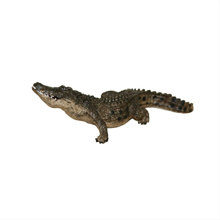 ��ˡ�ưʪ�Ϸ���ưʪ�ե����奢��������A