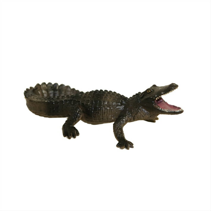 ��ˡ�ưʪ�Ϸ���ưʪ�ե����奢��������D