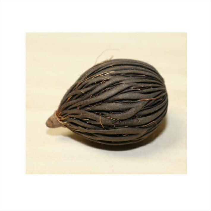 �䥷�μ����ɥ饤�ե���¤�֡�12�ĥѥå����ǥ����ץ쥤������Ĥ����ǥ��졼����󡡾��������