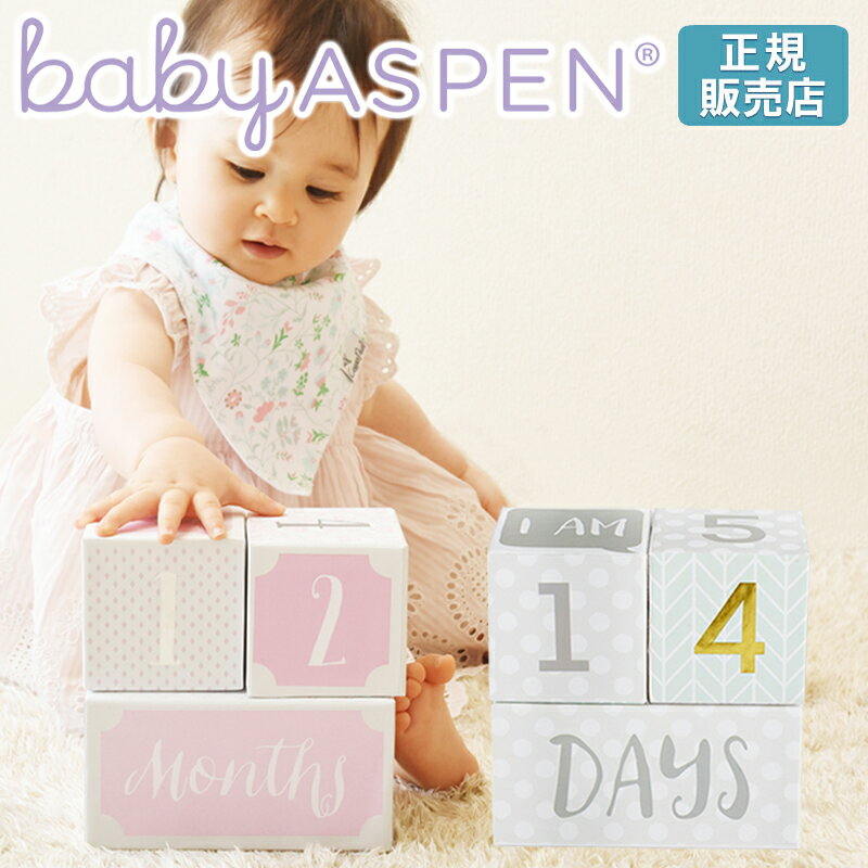 ベビーアスペン マイルストーン エイジブロック BABY ASPEN ( 出産祝い 女の子 男の子 新生児 成長記録 おしゃれ かわいい ベビー ファッション雑貨・小物 ) 在庫一掃 3ss