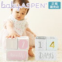 ベビーアスペン マイルストーン エイジブロック BABY ASPEN ( 出産祝い 女の子 男の子 新生児 成長記録 おしゃれ かわいい ベビー ファッション雑貨・小物 ) SS