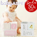 \3520円⇒半額/ ベビーアスペン マイルストーン エイジブロック BABY ASPEN ( 出産祝い 女の子 男の子 新生児 成長記録 フォト おしゃれ か...
