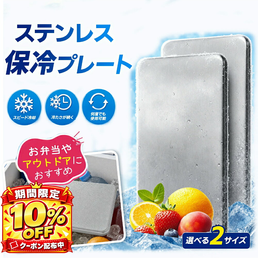 【クーポンで981~円/点】 保冷剤 ステンレス保冷剤 ステンレス製 保冷剤 長時間冷却 驚異の保冷力 アイスパック 冷蔵…
