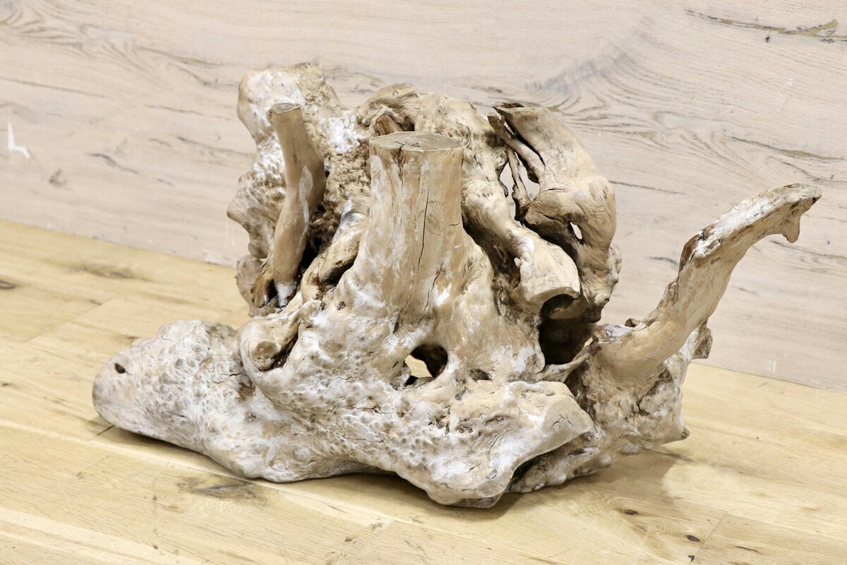64A16 ​ 一点物 天然木 巨大 こぶ オブジェ 置物 高さ85cm 銘木 64A16 ​