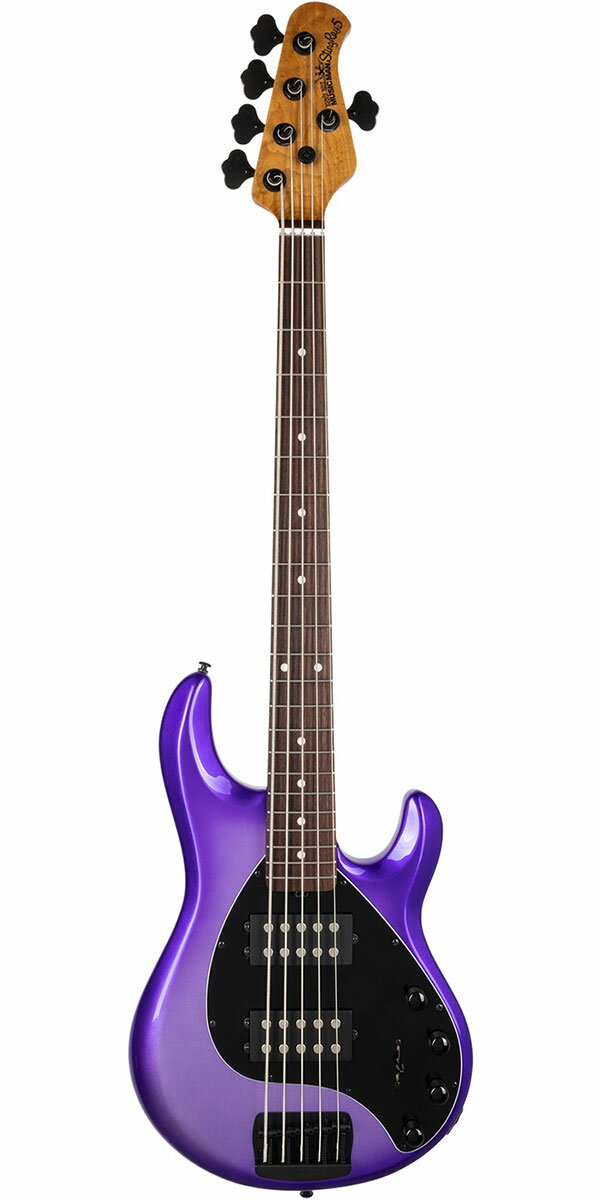 MUSICMAN（ミュージックマン）StingRay 5 Special HH Grape Crush（Rosewood Fingerboard）