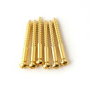 PRS（Paul Reed Smith）Tremolo Bridge Knife Edge Screws (6) GEN II Gold 101694:003（ACC-4024）