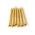 PRS（Paul Reed Smith）Tremolo Bridge Knife Edge Screws (6) GEN II Gold 101694:003（ACC-4024）