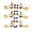 PRSPaul Reed SmithPhase III Locking Tuners (Set of 6) Hybrid 101659::H:003