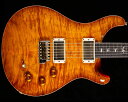 PRS(Paul Reed Smith)DGT 10 Top McCa...(2)
