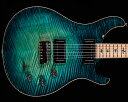 PRS(Paul Reed Smith)Private Stock D...(2)