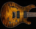 PRS(Paul Reed Smith)Private Stock C...(2)