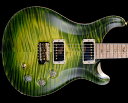 PRS(Paul Reed Smith)Private Stock D...(2)