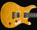 PRS(Paul Reed Smith)Custom 24 Wood ...(2)