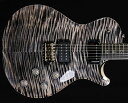 PRS(Paul Reed Smith)Private Stock M...(2)