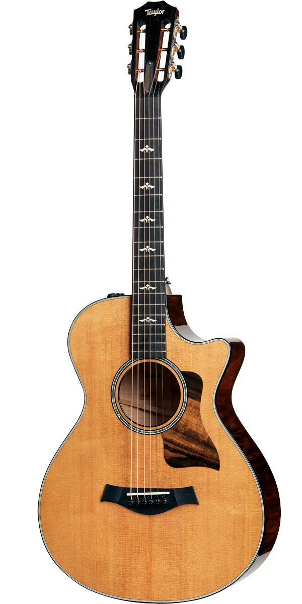 Taylor（テイラー）612ce 12-Fret V-Class