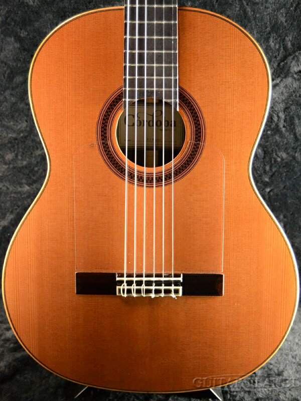 Cordoba F7 Paco 新品 コルドバ natural,木目 Classical Guitar,クラシックギター,エレガット,フラメンコ