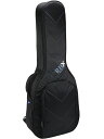 Reunion Blues RBX-A2 Acoustic Dreadnought Gig Bag 新品[リユニオンブルース][ギターケース,ギグバッグ][Acoustic Guitar,アコースティックギター,アコギ,ドレッドノート]