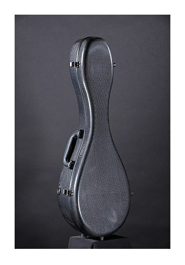 Aranjuez アランフェスマンドリンケース　ナチュラルカーボン 新品[mandolin][Case][カーボン][hard case,ハードケー…