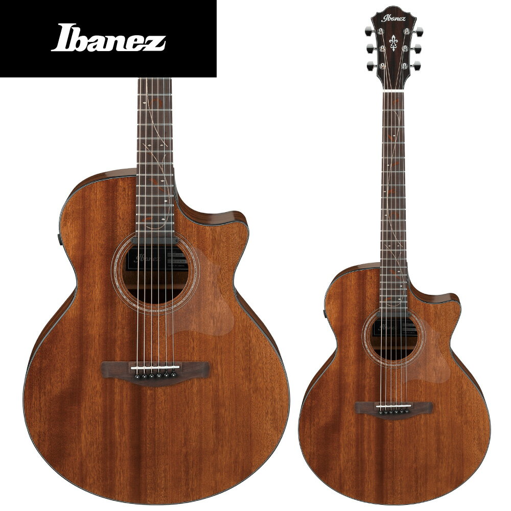 Ibanez AE295 - LGS ( Natural Low Gloss ) - 新品 アイバニーズ Natural,ナチュラル Cutaway,カッタウェイ Electric Acoustic Guitar,エレアコ,エレクトリックアコースティックギター,フォークギター,Folk Guitar