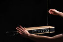 Moog Etherwave Theremin モーグ エーテルウェーブテルミン