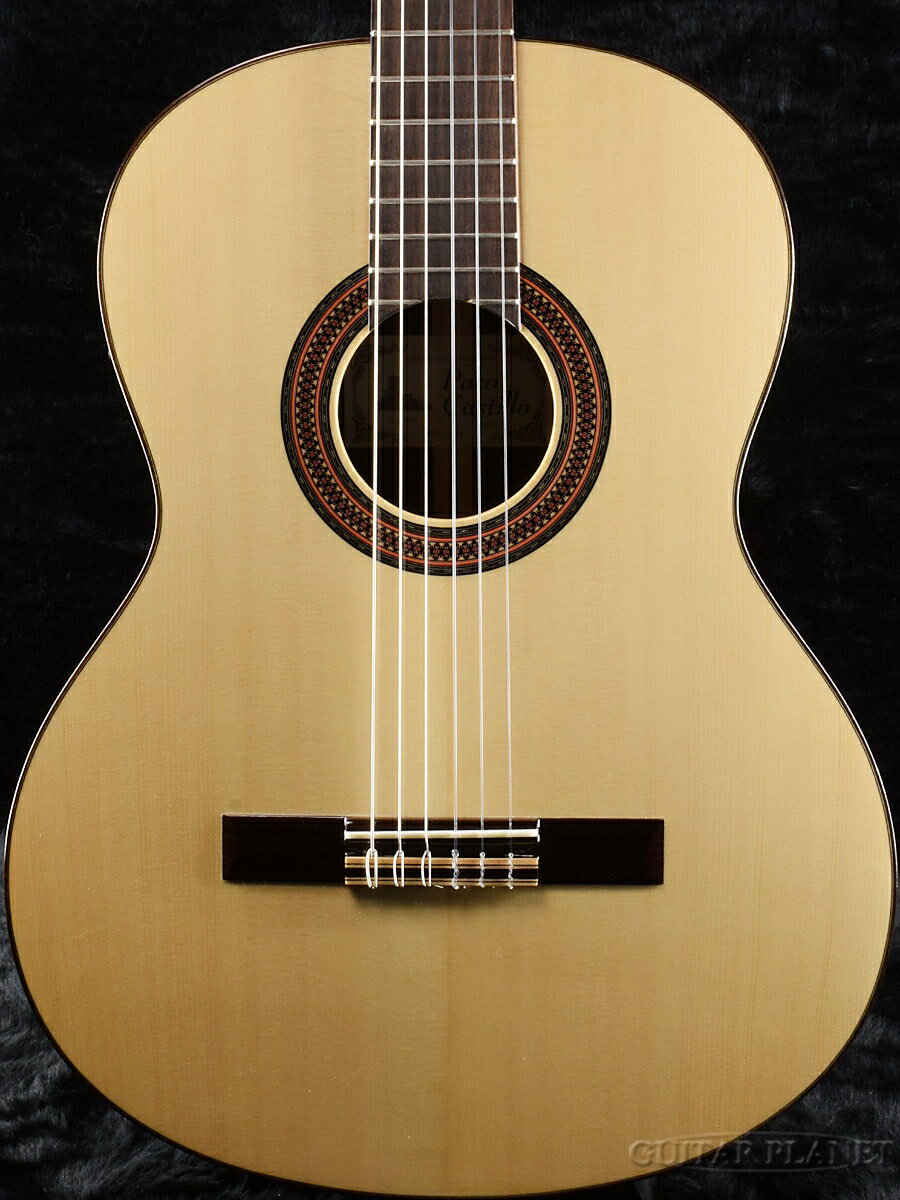 Paco Castillo パコ・カスティージョ 203NE Spruce 新品