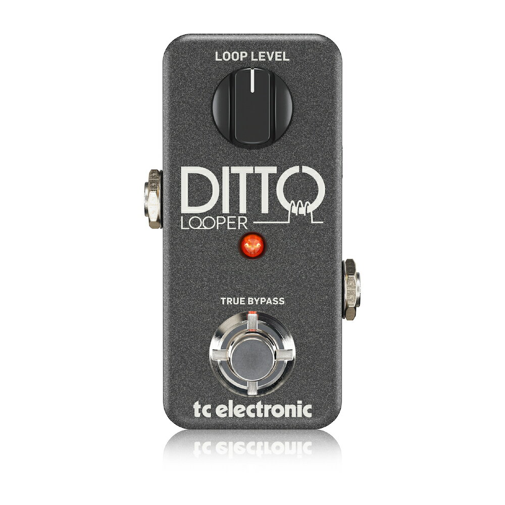 t.c.electronic DITTO LOOPER 新品 ルーパー tcエレクトロニック Effector,エフェクター