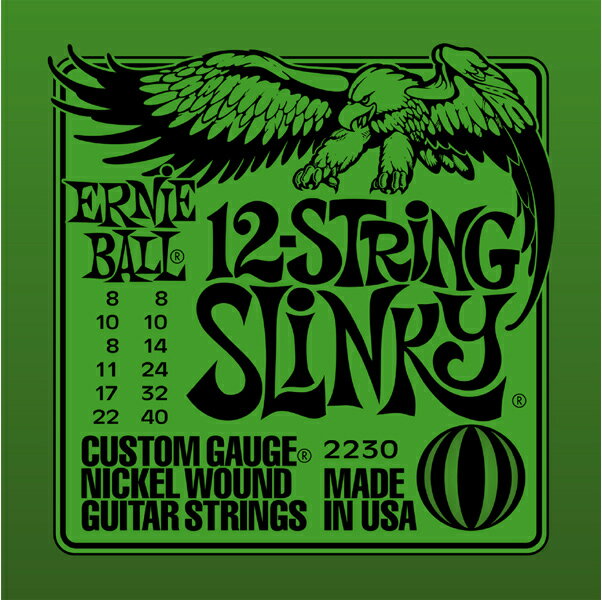 ERNIE BALL 08-40 2230 12-String Slinky アーニーボール 12弦ギター用 エレキギター弦,string