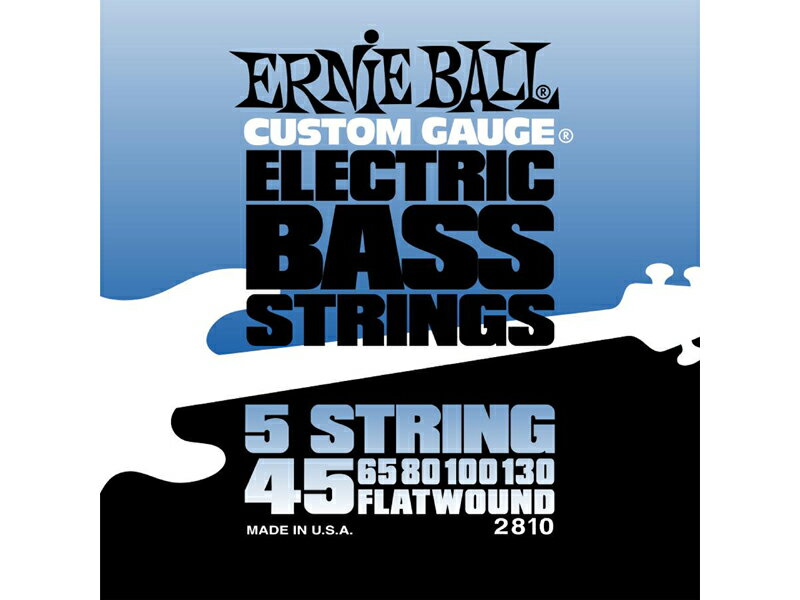 ERNIE BALL 45-130 2810 5String 新品 5弦ベース用 フラットワウンド弦 アーニーボール Flatwound ベース弦,String