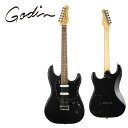 Godin Session HT -Matte Black- 新品 ゴダン マットブラック,黒 Electric Guitar,エレキギター