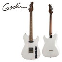 Godin Stadium HT -Trans White- 新品 ゴダン ホワイト,白 Electric Guitar,エレキギター