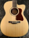 【わたなべゆう監修モデル】Headway Japan Tune-up Series HOC-KINGFISHER 新品[ヘッドウェイ][ジャパンチューン][Acoustic Guitar アコギ アコースティックギター Folk Guitar フォークギター]