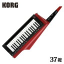 KORG RK-100S 2RD 新品 キーボード[コルグ][キーター][Piano,電子ピアノ][Synthesizer,シンセサイザー][Keyboard][RK100S][Red,レッド,赤] その1