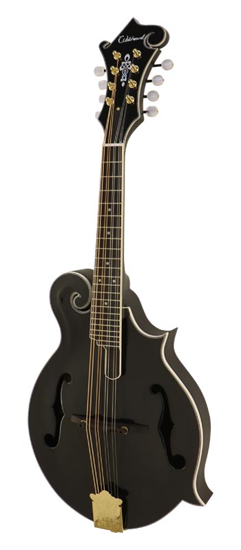 Wildwood WFM-16E Trast Black 新品[ワイルドウッド][スプルース単板トップ][トラストブラック,黒][Mandolin,マンドリン]