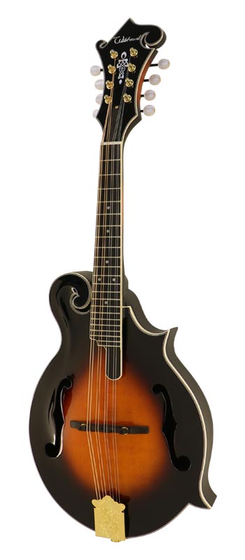 Wildwood WFM-16E Vintage Burst 新品[ワイルドウッド][スプルース単板トップ][ヴィンテージバースト,サンバースト][Mandolin,マンドリン]