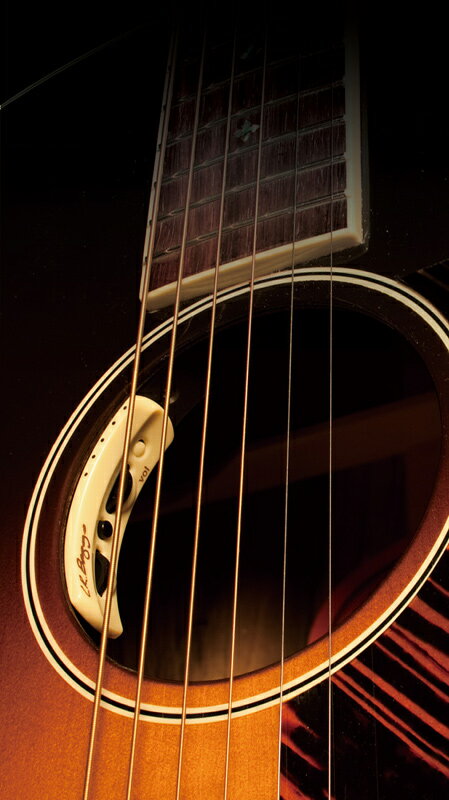 L.R.Baggs Anthem 新品 デュアルピックアップシステム アンセム Piezo Pickup Acoustic Guitar,アコースティックギター