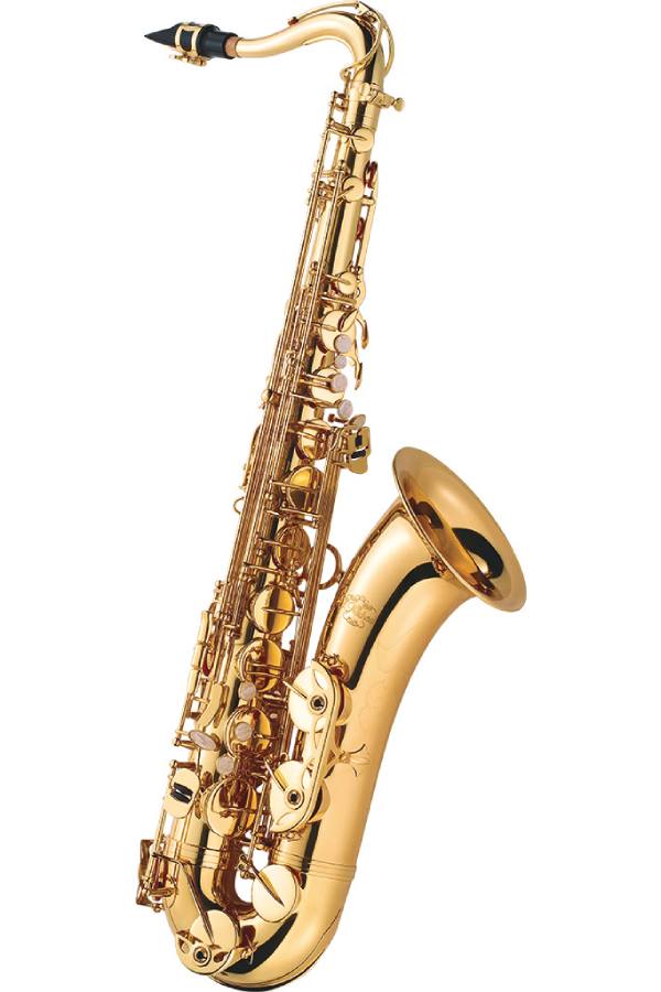 JMichaelTN-900新品テナーサックス[Jマイケル][サクソフォン][TenorSax][T