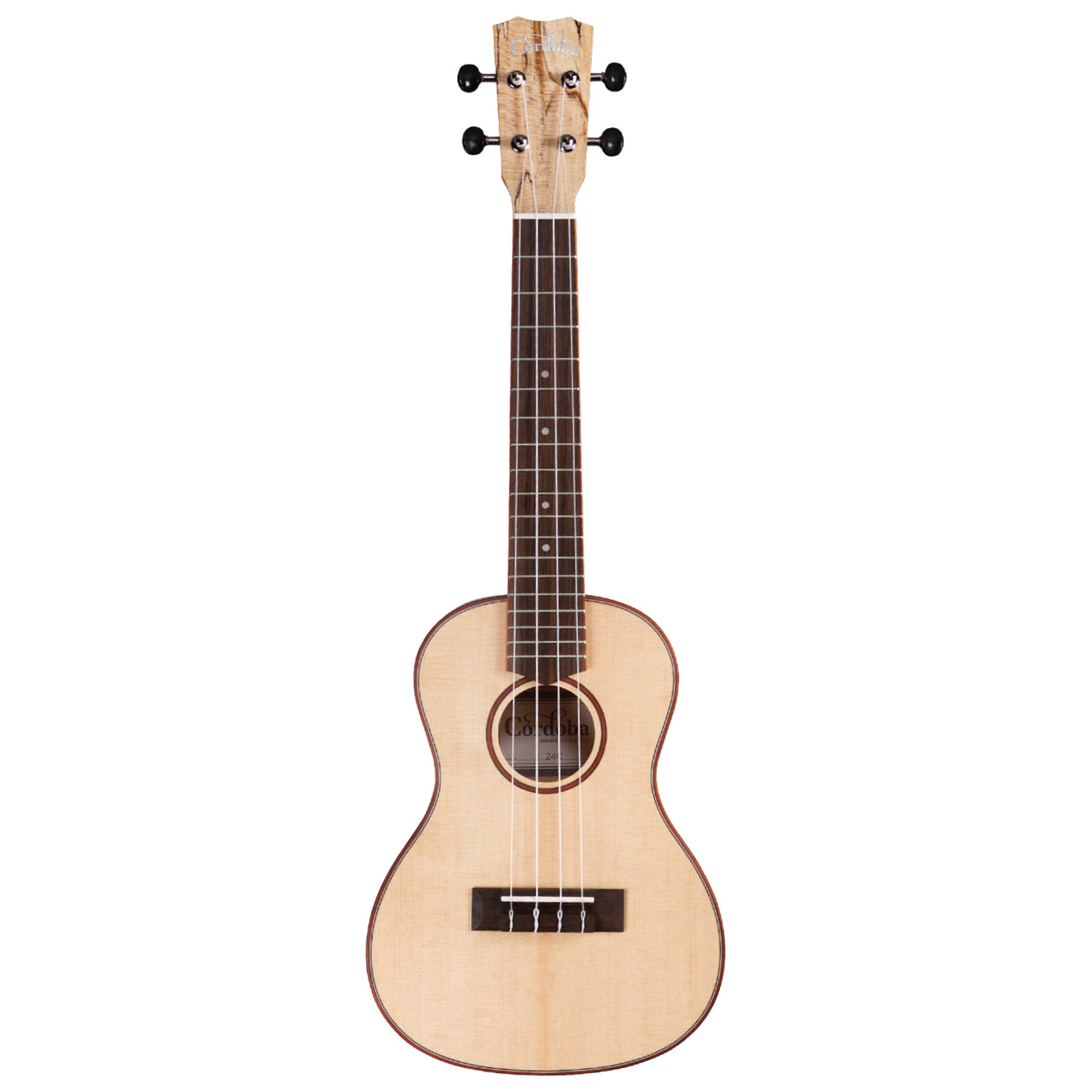 Cordoba 24C SPRUCE 新品 コンサートウクレレ[コルドバ][スプルース][Ukulele,ウクレレ][Concert Ukulele]