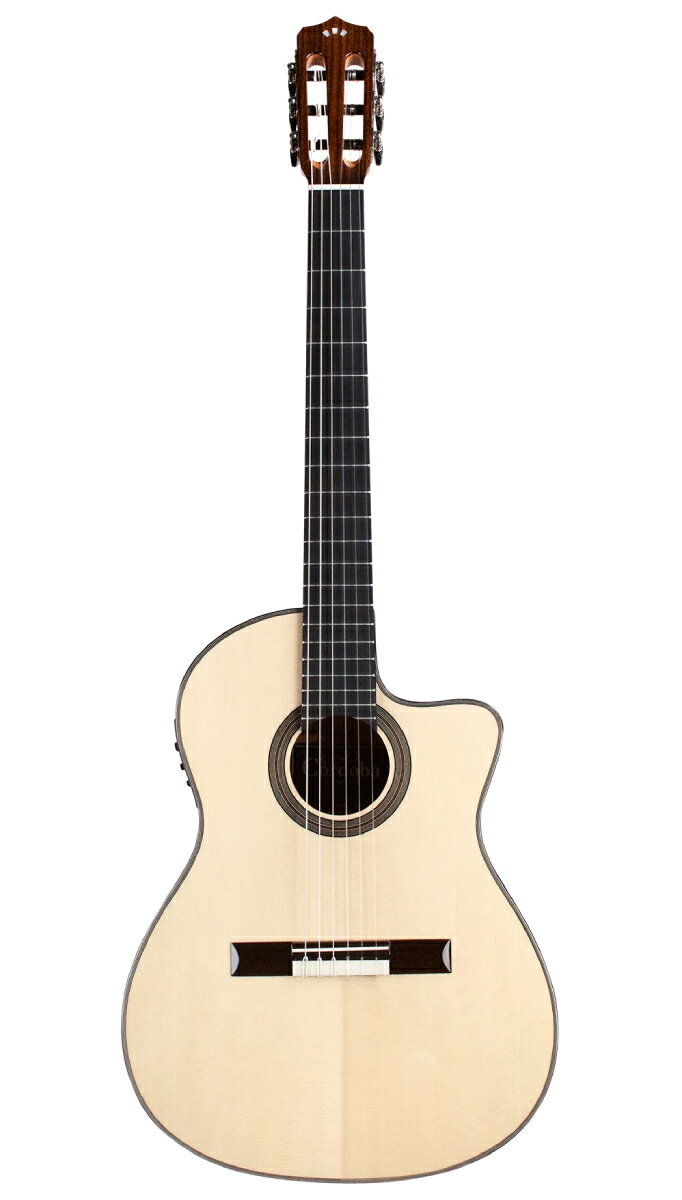 Cordoba / Fusion 14 Maple / 新品[コルドバ][ピックアップ搭載][Natural,ナチュラ...