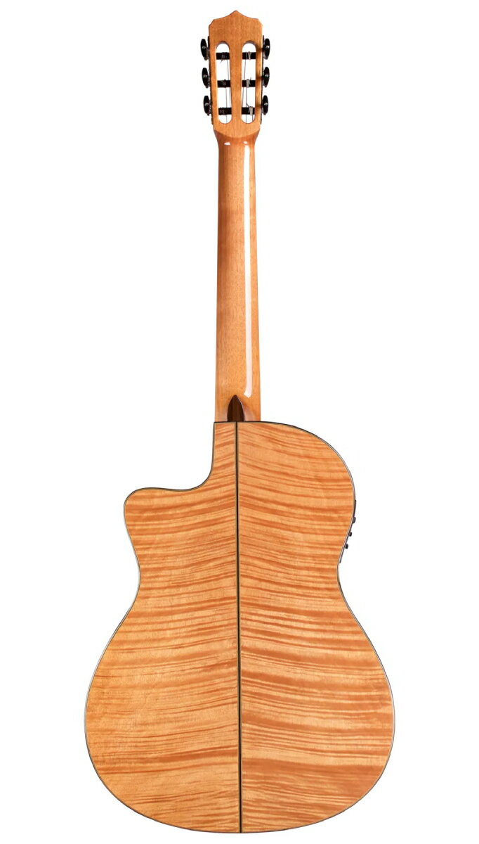 Cordoba / Fusion 14 Maple / 新品[コルドバ][ピックアップ搭載][Natural,ナチュラル][Classical Guitar,クラシックギター,エレガット]