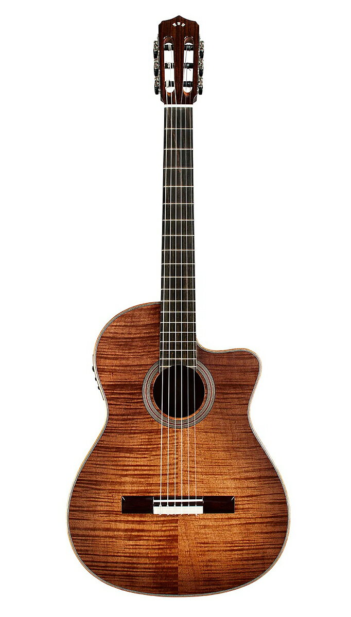 フュージョン12エキゾチック・トップ・ギターは、伝統的なナイロン弦のトーンを実現すると同時に、独特のモダンな美学を備えています。ソリッド・スプルース・トップに本物のエキゾチック・ウッド単板を極薄に貼ることで、トーンに悪影響を与えることなく、印象的な外観を実現しています。Fusion 12 Cinnamon Burstギターのバックとサイドには、豊かなフレイム・オクメが施され、マッチするフレイム・オクメ単板のオーバーレイがそれを引き立てています。マホガニー・バインディングと手作業ではめ込まれた木製ロゼッタが、そのユニークな美しさをさらに引き立てます。キレのあるレスポンスとウォームなトーンを生み出し、内蔵されたFishman® Presys Blendピックアップ・システムは、アンプで増幅してもそのトーンを維持します。 -ソリッド・スプルース・トップ、極薄フレイム・オクメ単板オーバーレイ -フレイム・オコーム・バック＆サイド、マホガニー・バインディング -フュージョン・ネック・プロファイル（ナット幅48mm）、16インチ・ラジアスのエボニー指板 -Fishman Presys Blendプリアンプとピックアップ・システム内蔵 -最適なレゾナンスのための伝統的なブリッジ配置（ボディの12フレット -アッパー・フレットへのアクセスが容易なソフト・カッタウェイ・ボディ -手はめ木製ロゼット [仕様] サイド & バック： フレイム・オコウム バック・バインディング： マホガニー バック・センター・ストリップ： マホガニー バック・パーフリング・インレイ： 4プライ・メイプル・ブラック ボディ・トップ： スプルース無垢材／フレームド・オクメ単板 スタイル： Fusion カラー： シナモン・バースト フィニッシュ： グロス・ポリウレタン フレットからボディ： 12 ネック・ジョイント： マホガニー ネック・シェイプ： フュージョンCシェイプ トップ・ブレイシング・パターン： Fan ウエスト幅： 235mm（9 1/4インチ） ブリッジ材： パーフェロー 指板材： エボニー ネック材： マホガニー ナット材： 牛骨 サドル材： 牛骨 バッテリーパック： プリアンプ内部 - 9V バッテリーパックの取付位置： フリップアップ・プリアンプ ピックアップ： Fishman Presys Blend チューニング・マシン・ボタン： ブラック ギア比： 14:1 ネック厚 1フレット： 21mm ネック厚 9フレット： 24mm ナット幅： 48mm（1 7/8インチ） 全長： 978mm（38 1/2インチ） 弦長： 650mm（25.6インチ） 付属品：純正ギグバッグ、正規保証書 /_/_/_/♪出荷前調整ご要望承ります♪_/_/_/_/ ギタープラネットではご注文頂いた商品は 新品中古問わず検品・調整してから出荷致します。 弦高など細かなセッティング等、お好みに 合わせて調整も可能ですで、お気兼ねなく お申し付けくださいませ。 /_/_/_/_/_/_/_/_/_/_/_/_/_/_/_/_/_/_/_/_/_/_ お問い合わせダイヤル：03-3259-0031 ※掲載画像はサンプルです。 ※当商品は通信販売に限りご用意が可能でございます。実店舗での実機確認・試奏はお受け出来ませんので予めご了承ください。　