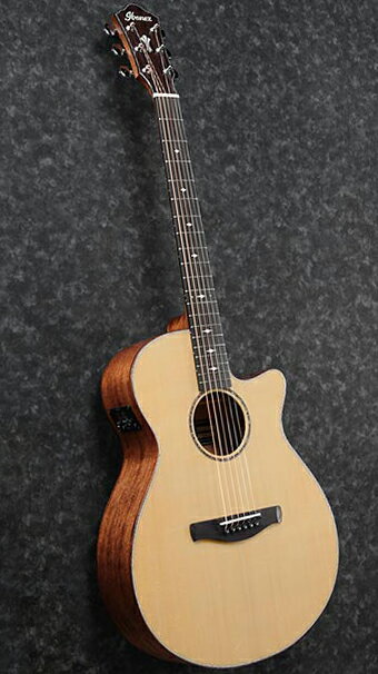 Ibanez AEG200 LGS Natural Low Gloss 新品 アイバニーズ ナチュラル,木目 エレアコ Electric Acoustic Guitar,アコースティックギター