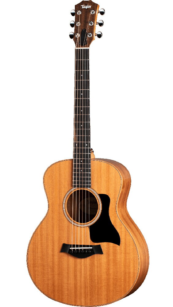楽天市場】taylor gs mini エレアコの通販 