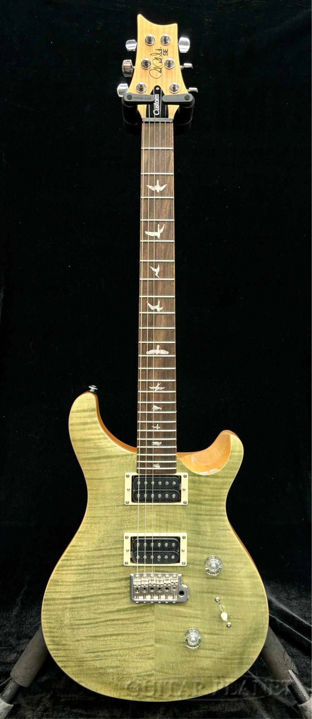 Paul Reed Smith (PRS) SE Custom 24 -Trampas Green-新品 [ポールリードスミス][G...