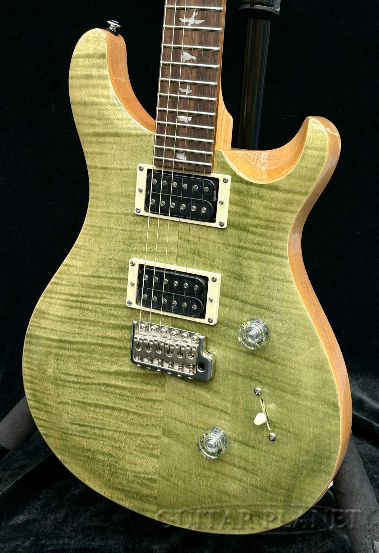 Paul Reed Smith (PRS) SE Custom 24 -Trampas Green-新品 [ポールリードスミス][G...