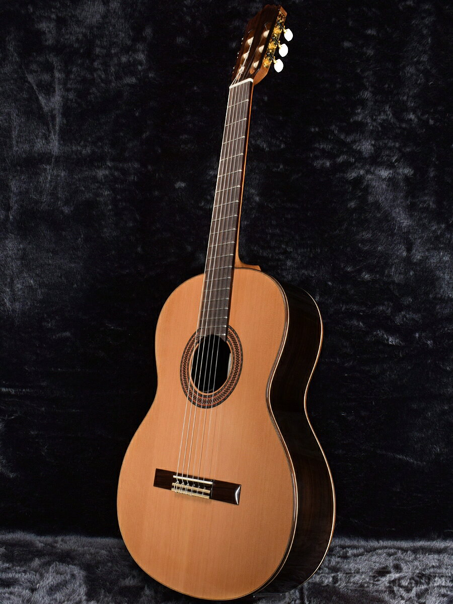 Paco Castillo パコ・カスティージョ 203NE Cedar 新品 [Classical Guitar,クラシ...