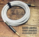 DAVID LABOGA NEW DIMENSION -Tommy Emmanuel Signature Model-  "専用バッグ付"