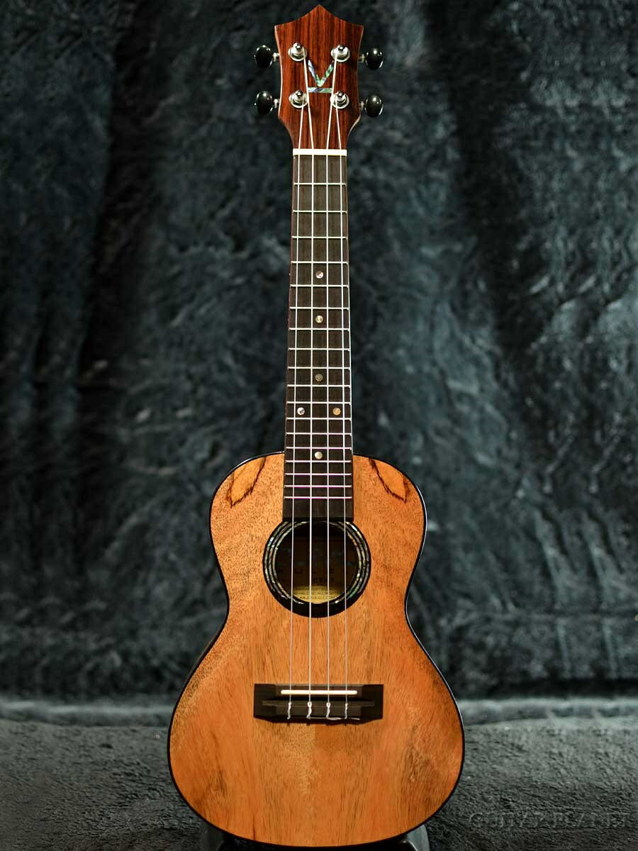 KUMU UKULELE CM68 マンゴー・コンサート 新品[クムウクレレ][Concert Ukulele]