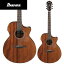 Ibanez AE295 - LGS ( Natural Low Gloss ) - [Хˡ][Natural,ʥ][Cutaway,å][Electric Acoustic Guitar,쥢,쥯ȥåƥå,ե,Folk Guitar]